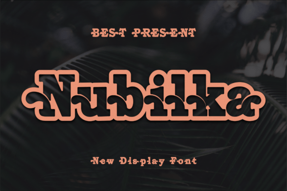 Nubilka Font for Business Branding